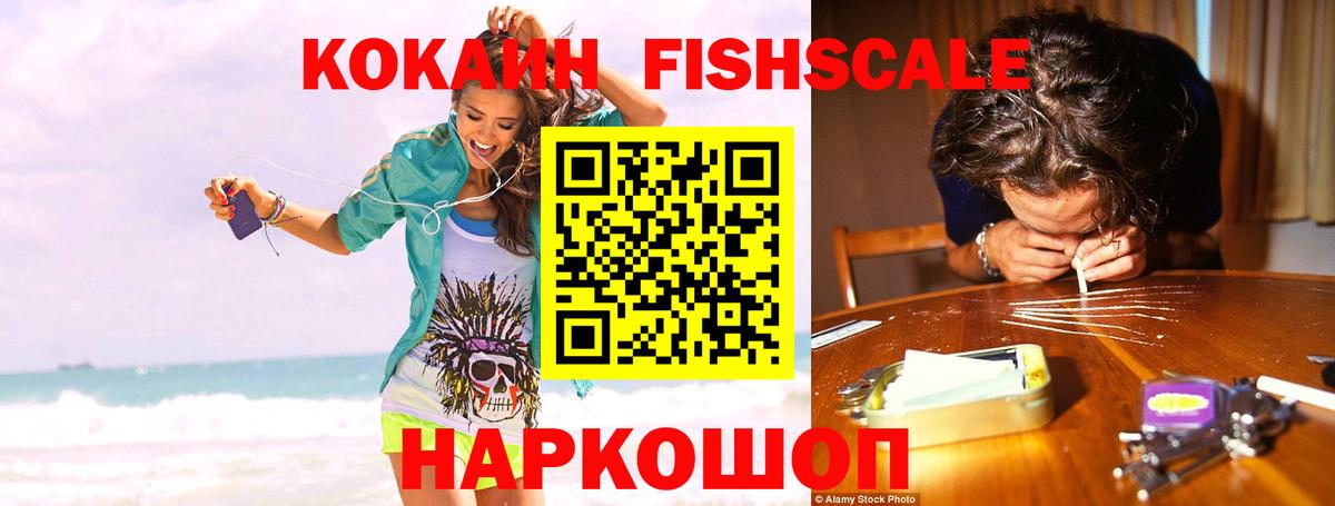 Баксан  Cocaine Fish Scale  COCAIN Fish Scale  Вход с VPN 