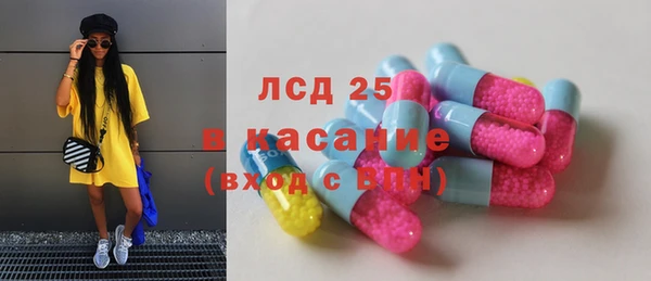индика Дмитриев