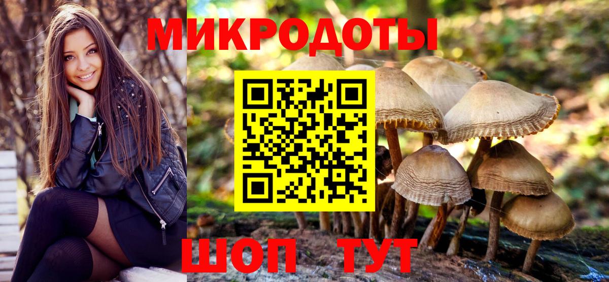 Псилоцибиновые грибы Psilocybe Баксан