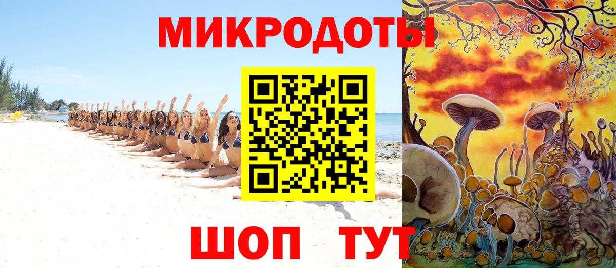 Баксан  Галлюциногенные грибы Psilocybine cubensis  Вход с VPN 