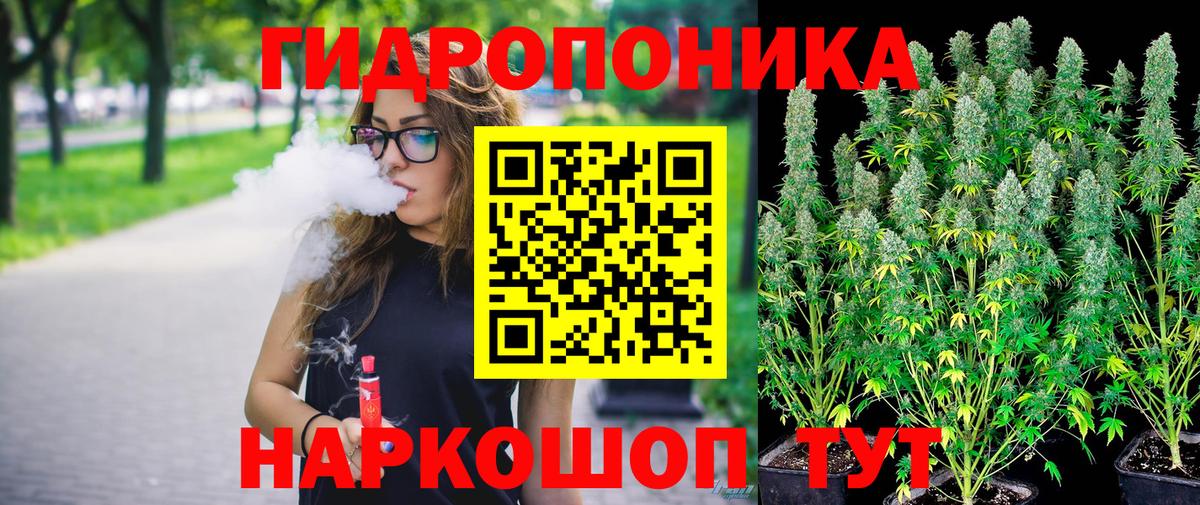 Шишки марихуана план  Каннабис сатива  Канабис SATIVA & INDICA  Баксан  Вход с VPN 